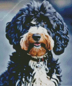 Black Labradoodle Diamond Painting