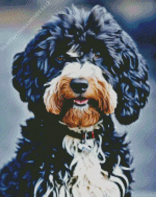 Black Labradoodle Diamond Painting