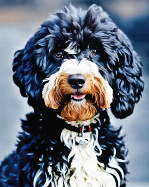 Black Labradoodle Diamond Painting