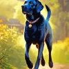 Black Labrador Retriever Dog Diamond Painting