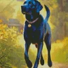 Black Labrador Retriever Dog Diamond Painting