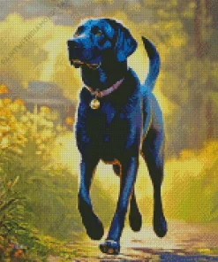 Black Labrador Retriever Dog Diamond Painting