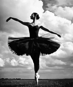 Black And White Ballet Girl Diamond Painting