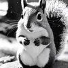 Black And White Chipmunk Diamond Painting