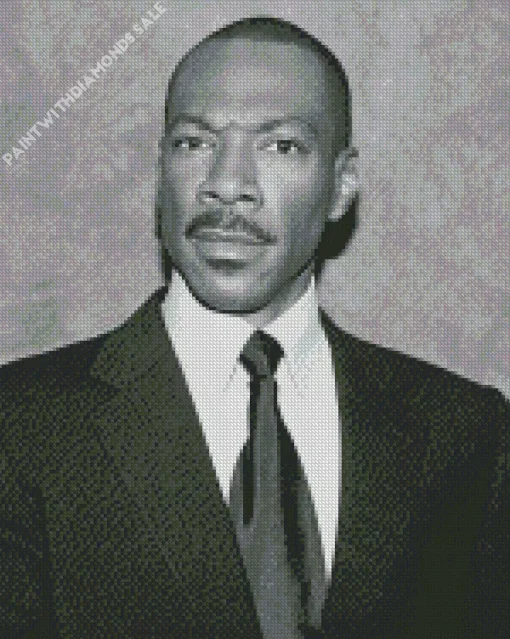 Black And White Eddie Murphy Diamond Painting