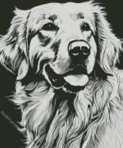 Black And White Golden Retriever Diamond Painting