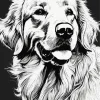 Black And White Golden Retriever Diamond Painting