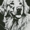 Black And White Great Pyrenees Diamond Painting