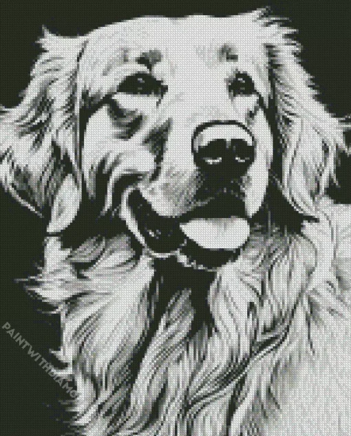 Black And White Great Pyrenees Diamond Painting