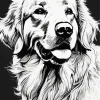 Black And White Great Pyrenees Diamond Painting