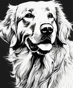 Black And White Great Pyrenees Diamond Painting