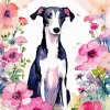 Black And White Greyhound Diamond Painting