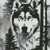 Black And White Husky Diamond Painting