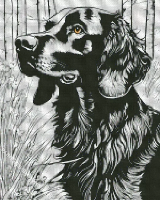 Black And White Irish Setter Diamond Painting