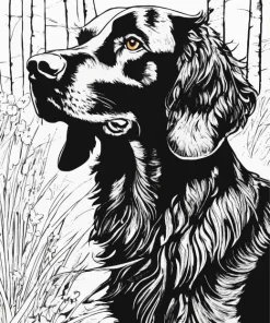 Black And White Irish Setter Diamond Painting