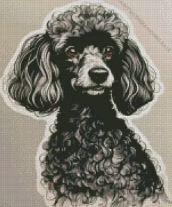 Black And White Labradoodle Dog Diamond Painting