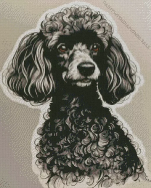 Black And White Labradoodle Dog Diamond Painting