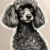 Black And White Labradoodle Dog Diamond Painting