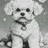 Black And White Maltese Diamond Painting