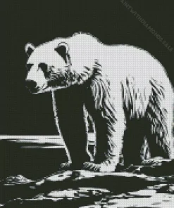 Black And White Polar Bear Diamond Painting