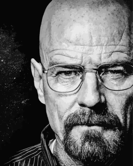 Black And White Walter White Diamond Painting