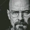 Black And White Walter White Diamond Painting