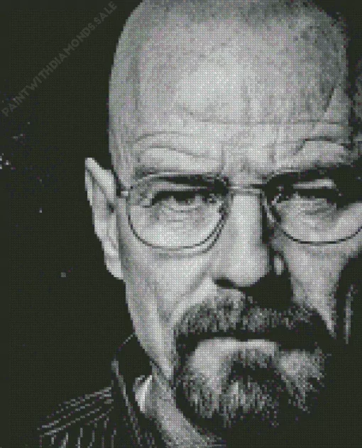 Black And White Walter White Diamond Painting