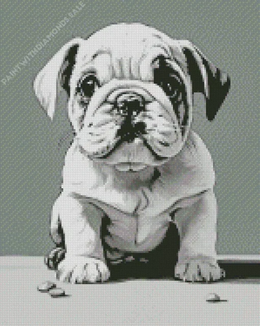 Black And White Bulldog Diamond Painting