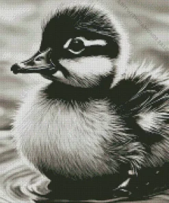 Black And White Little Duck Diamond Painting