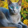 Blue Eyed Russian Blue Diamond Painting