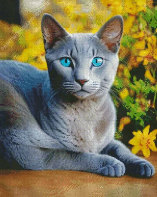 Blue Eyed Russian Blue Diamond Painting