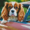 Brown Cavalier King Charles Spaniel Diamond Painting