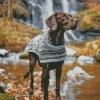 Brown German Shorthaired Pointer Diamond Painting