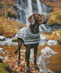 Brown German Shorthaired Pointer Diamond Painting