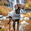 Brown German Shorthaired Pointer Diamond Painting