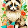 Brown Himalayan Cat Diamond Painting