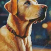 Brown Labrador Retriever Diamond Painting