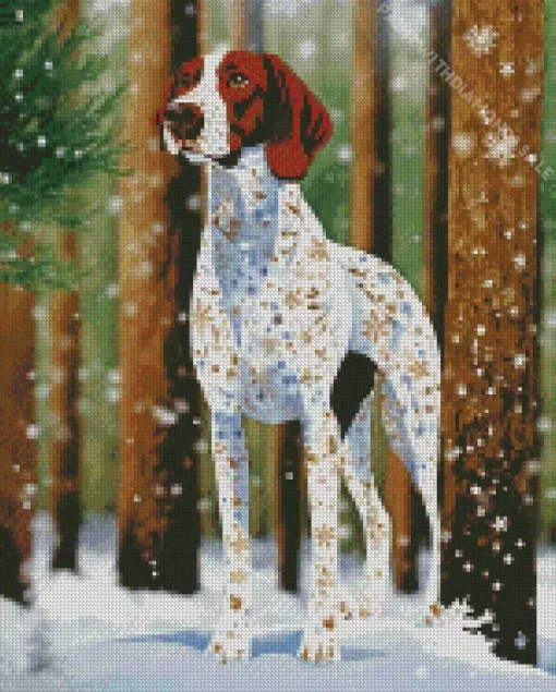 Brown And White German Shorthaired Diamond Painting