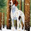 Brown And White German Shorthaired Diamond Painting