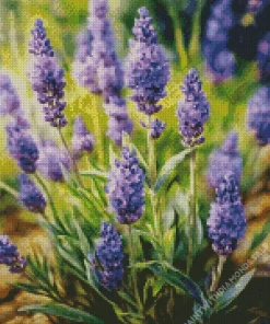 Calming Lavender Diamond Painting