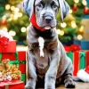 Christmas Weimaraner Diamond Painting