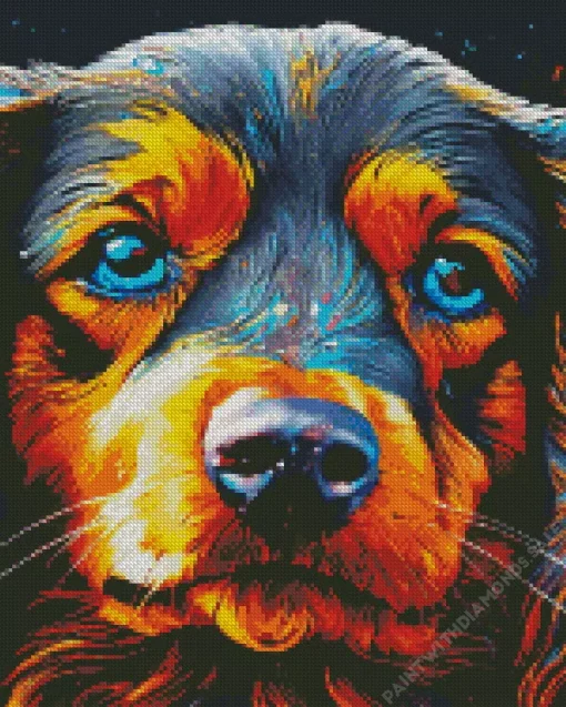 Close Up Irish Setter Diamond Painting