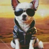 Cool Chihuahua Dog Diamond Painting