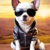 Cool Chihuahua Dog Diamond Painting