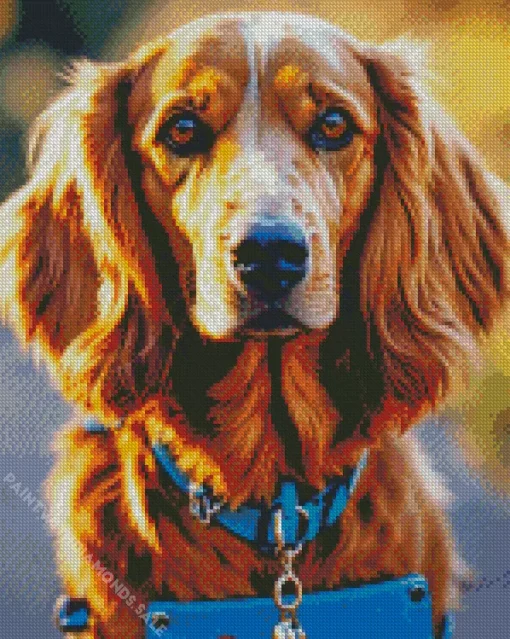 Cute English Cocker Spaniel Diamond Painting