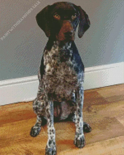 Cute German Shorthaired Pointer Diamond Painting