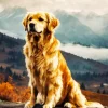 Cute Golden Retriever Diamond Painting