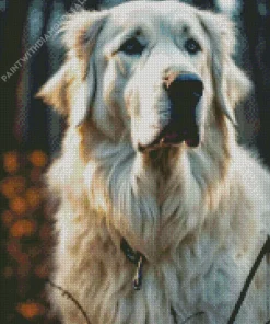 Cute Great Pyrenees Diamond Painting