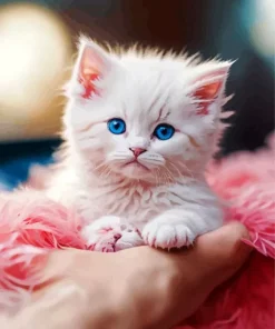 Cute Himalayan Kitten Diamond Painting