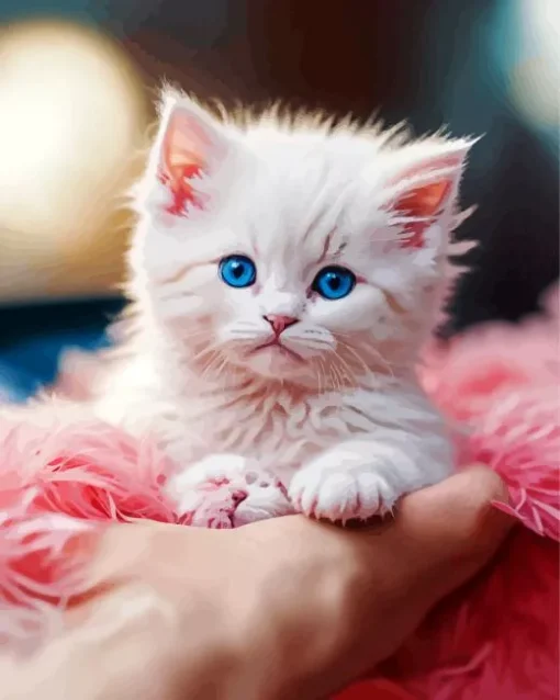 Cute Himalayan Kitten Diamond Painting